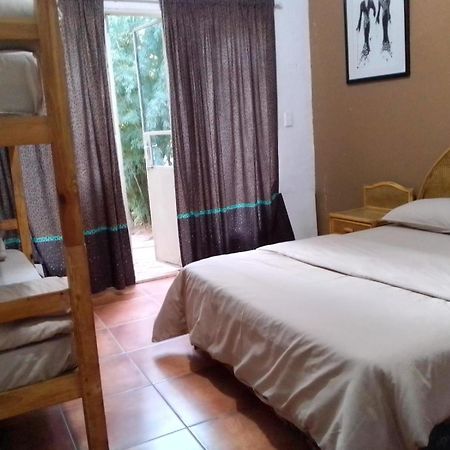 Rosebank Lodge & Backpacker Johannesburg Dış mekan fotoğraf